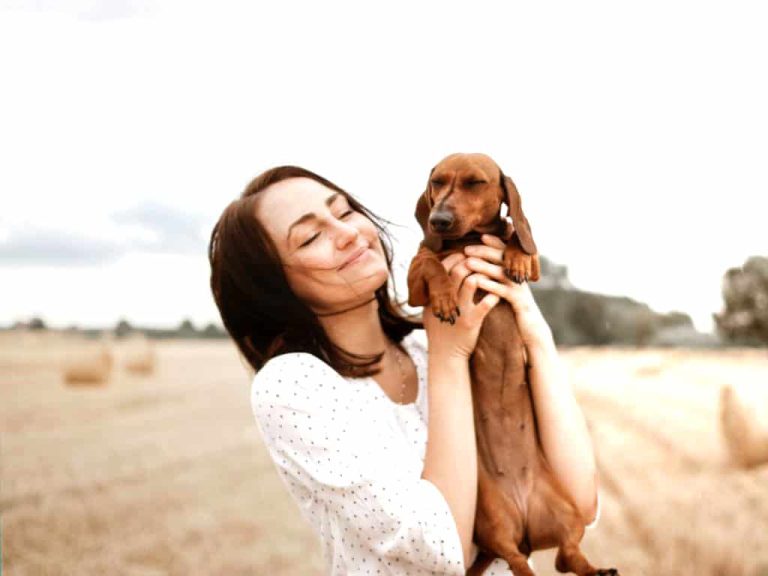 The Best Tour Package One Must Plan Easily