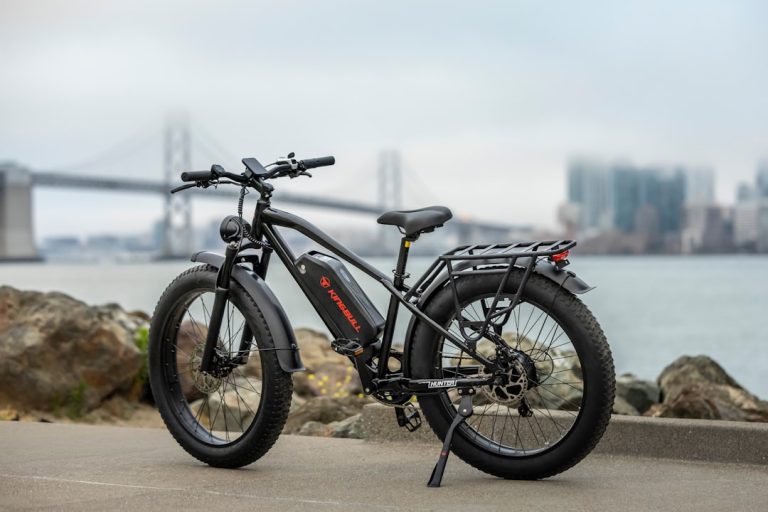 Young Electric Bikes: Pioneering the Electric Revolution for Smarter Journeys and Unforgettable Adventures